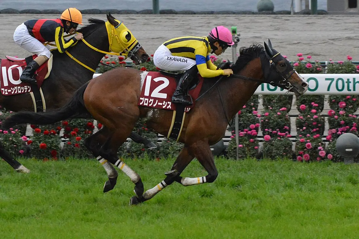 【香港カップ2023】プログノーシス✕川田将雅騎手、最終追い切り気配良好！大一番へ不安なし