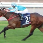 【香港G1チャンピオンズ＆チャターC】ロマンチックウォリアー香港3冠へ！迎え撃つは日本馬2頭