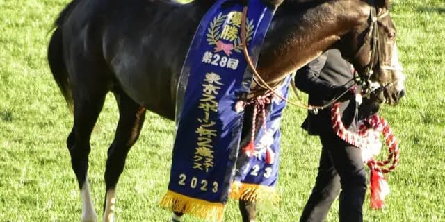 シュトラウスは豪G1ラッセルボールディングSへ、豪州スプリント戦線に名乗り