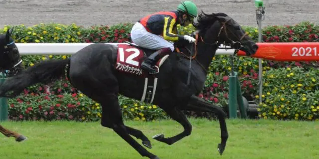 【JRA】アンドヴァラナウトが引退、繁殖入り