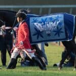 阪神牝馬S大敗のアスコリピチェーノ、臀部損傷で放牧へ