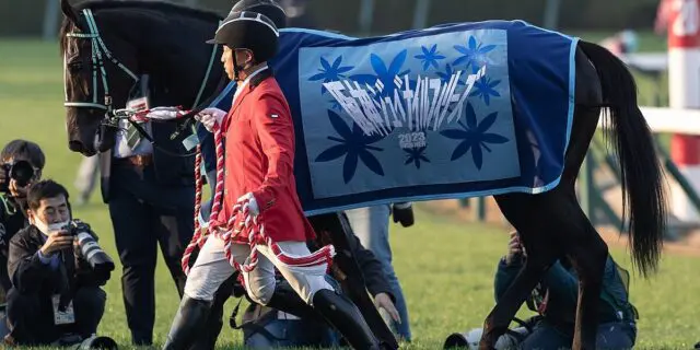 【NHKマイルC予想2024】アスコリピチェーノ確勝級！鉄板データにも該当