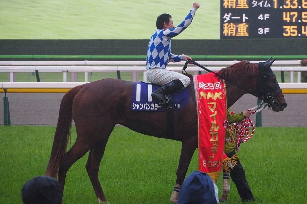 昨年のNHKマイルCの覇者シャンパンカラーはフェブラリーSで復帰、ダート初挑戦で復権へ