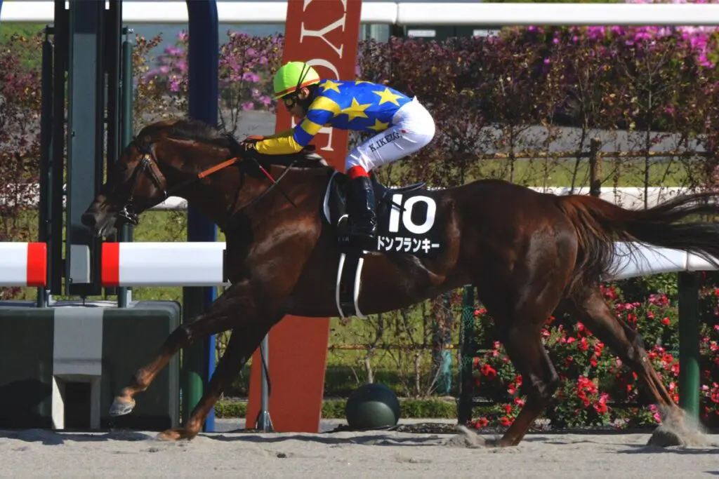 【JRA】“超重戦車”ドンフランキーが現役引退、今後は優駿SSで種牡馬に