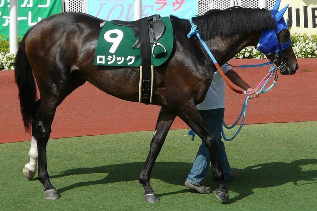 アグネスタキオンの初年度産駒ロジックが亡くなる、けい養先のDEEP FIELDで