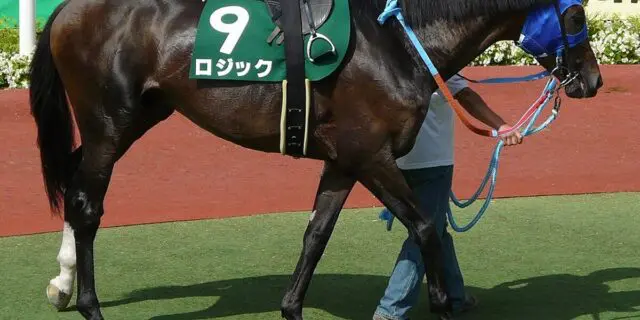 アグネスタキオンの初年度産駒ロジックが亡くなる、けい養先のDEEP FIELDで