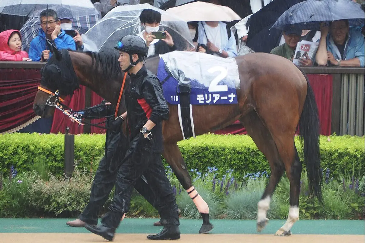 【JRA】AJCC・4着のモリアーナは中山牝馬Sへ、課題は“折り合い”か？