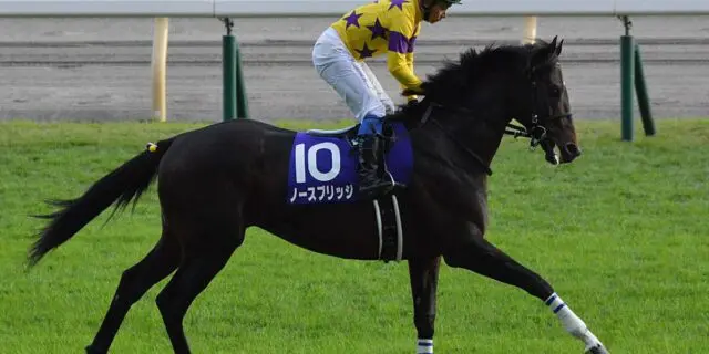 天皇賞秋・10着のノースブリッジ、次走はカタールG1のアミールトロフィー