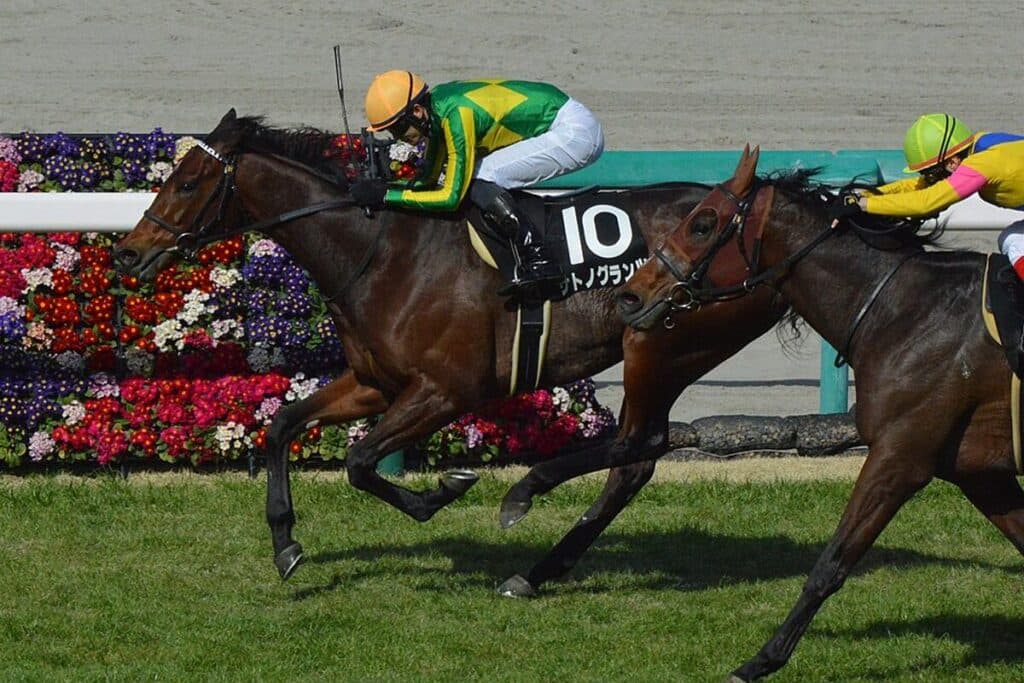【日経新春杯2024予想】サトノグランツ地力上位、好条件で巻き返す