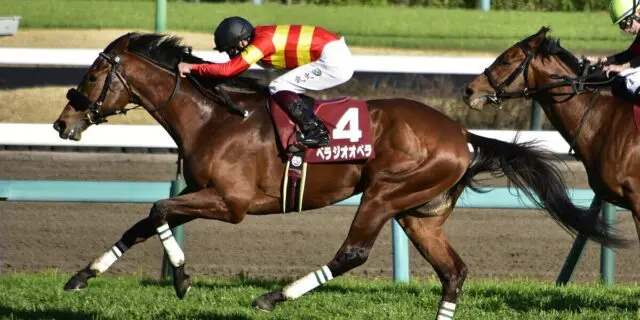 【有馬記念2024予想】中央競馬の集大成！注目の伏兵べラジオオペラ