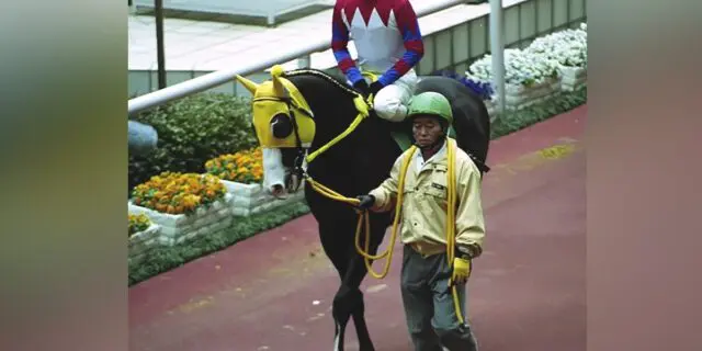 快速馬カルストンライトオが老衰で死亡