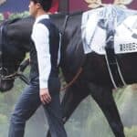 ディープモンスター香港G1へ、J.モレイラとの新コンビで世界に挑戦