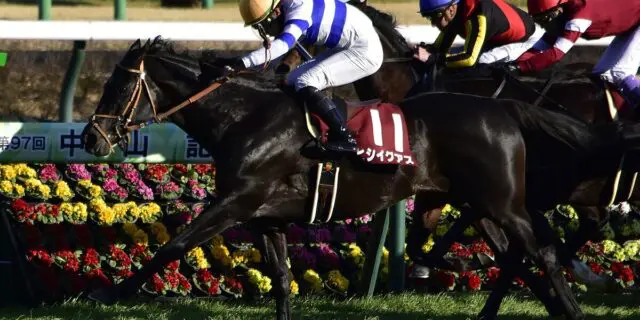 【中山記念2024予想】中山巧者のヒシイグアス、雨の道悪克服なるか？