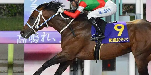 【JRA】キングズソードはマイルCS南部杯へ