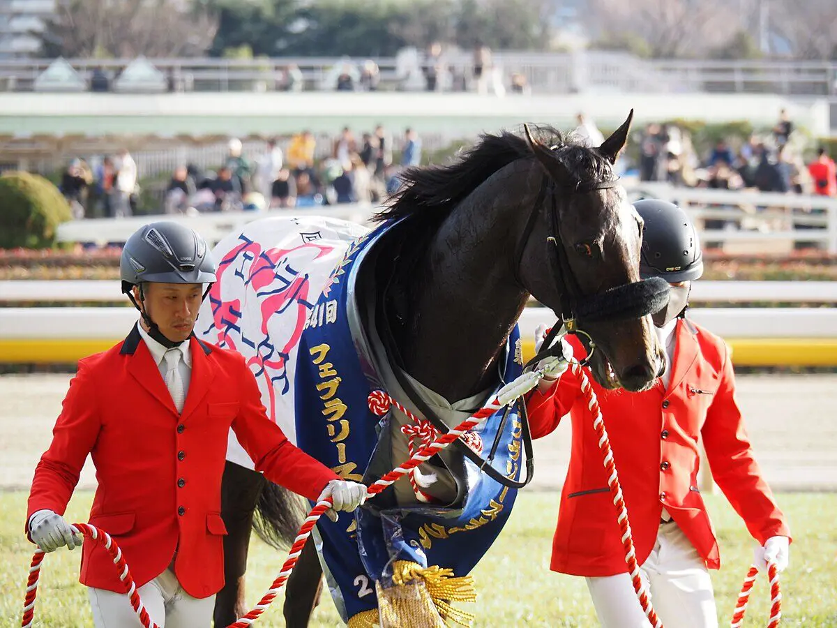 【JRA】フェブラリーSを制したペプチドナイルはかしわ記念へ