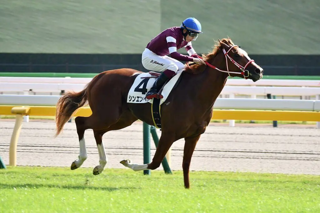 【JRA】シンエンペラーは愛G1アイリッシュチャンピオンSをステップに凱旋門賞へ