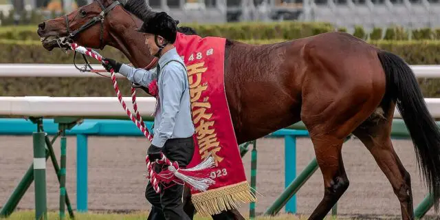【東京新聞杯2025予想】実績上位のブレイディヴェーグ、課題のスタートを克服できるか？