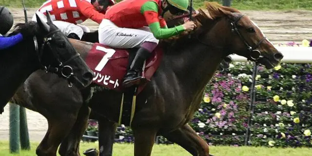 【フィリーズレビュー予想2024】能力上位のコラソンビート、“自分との闘い”に尽きる