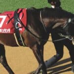 【日経賞2026予想】コスモキュランダは危険な人気馬か？得意舞台で反撃へ