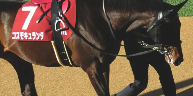 【皐月賞2024】弥生賞馬コスモキュランダ、J.モレイラ騎手とのコンビで参戦