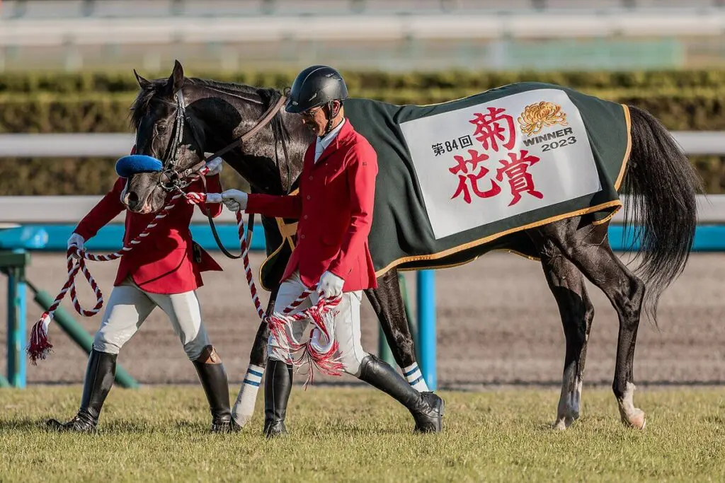 【インターナショナルS予想2024】ドゥレッツァは“消し”判断？不安材料多く、簡単には飛びつけない