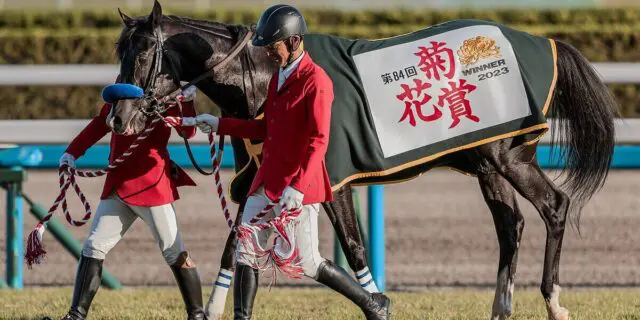 【JRA】ドバイSC・3着のドゥレッツァは宝塚記念を視野