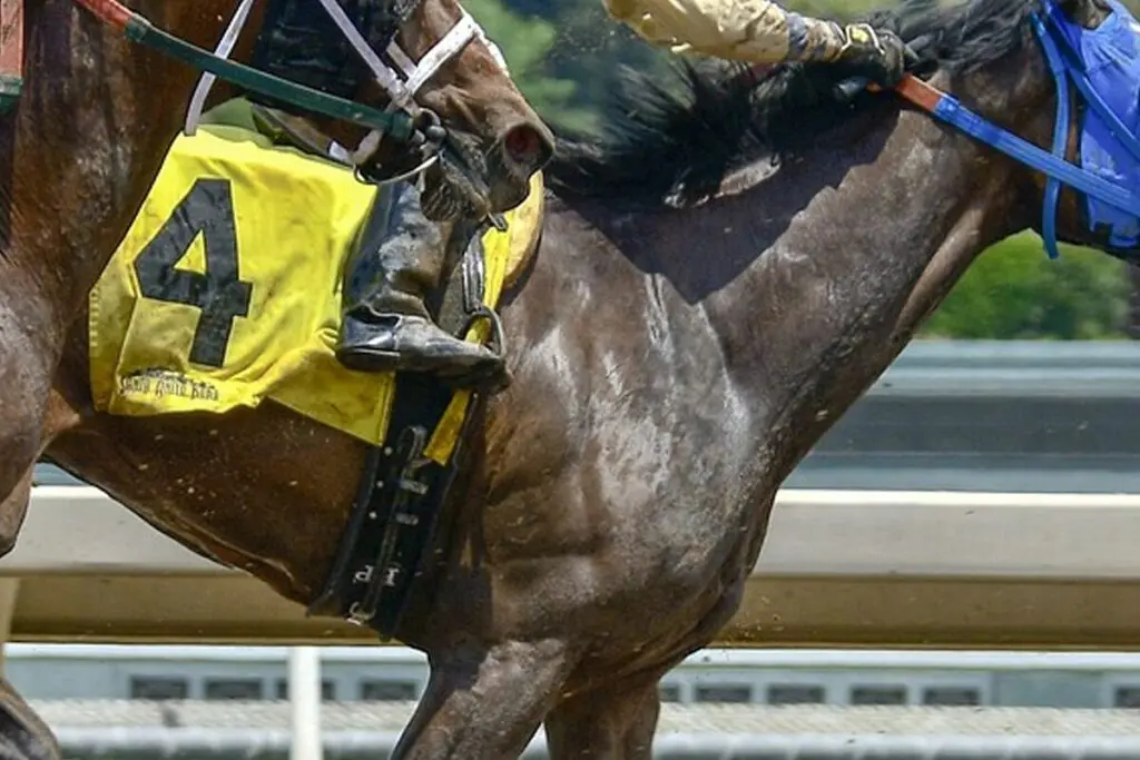 【伊賀S2024予想】前走同級2着のテイエムリステット、今回こそクラス突破なるか？