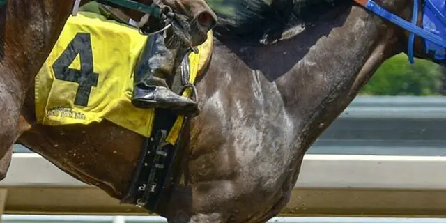 【春興ステークス予想2024】狙い目は好成績収める4歳馬か