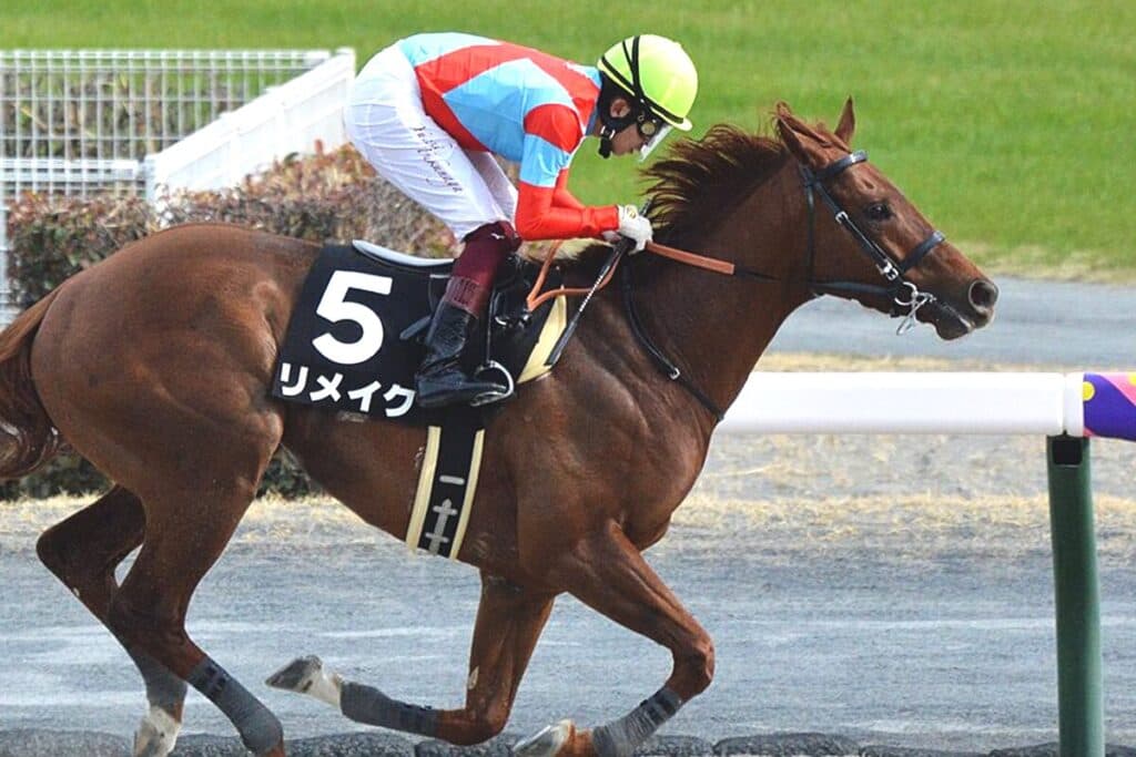 【ドバイゴールデンシャヒーン2024予想】日本馬4頭が参戦！日本勢有力候補はリメイク