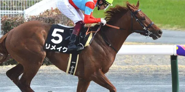 【ドバイゴールデンシャヒーン2024予想】日本馬4頭が参戦！日本勢有力候補はリメイク