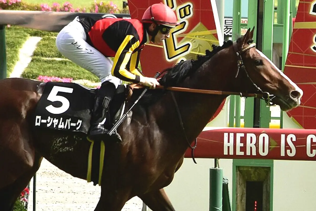 【宝塚記念2024】大阪杯2着のローシャムパークは宝塚記念でG1初制覇を狙う