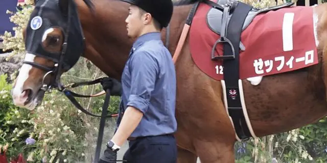 ゼッフィーロは天皇賞春を回避、右前浅屈腱炎で9カ月以上の休養見込み