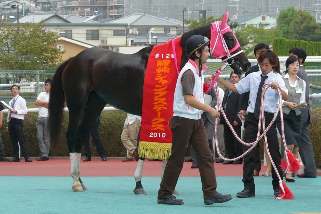 【JRA】障害重賞8勝の実績馬コウエイトライが亡くなる