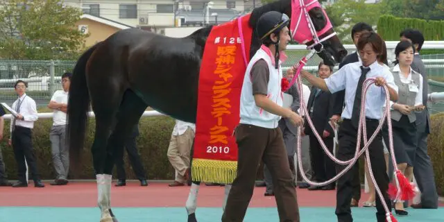 【JRA】障害重賞8勝の実績馬コウエイトライが亡くなる