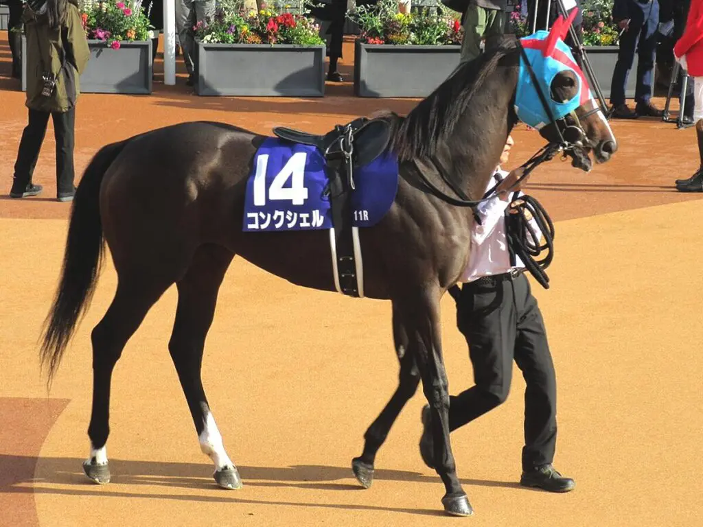 【ヴィクトリアマイル2024予想】激走期待の穴馬は逃げ馬候補のコンクシェル