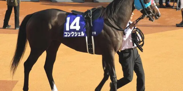 【ヴィクトリアマイル2024予想】激走期待の穴馬は逃げ馬候補のコンクシェル