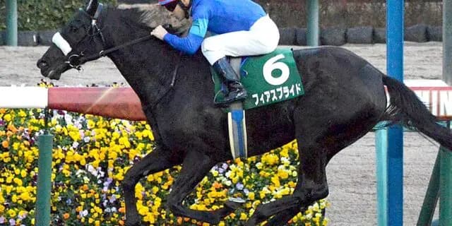 【府中牝馬ステークス2024】スローの前残り濃厚？位置取れるフィアスプライドで勝負