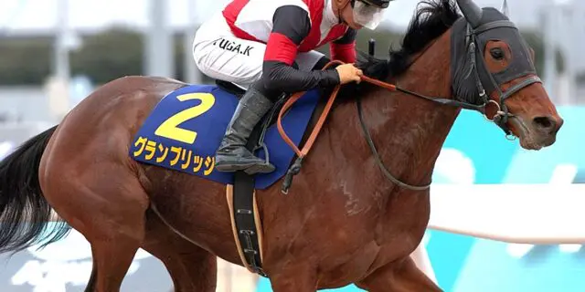 【川崎記念2025予想】連対率100％の舞台で挑むグランブリッジの逆襲