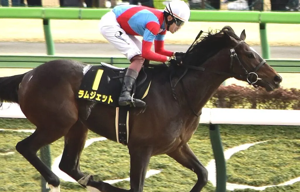 ラムジェットは東京大賞典へ、怪我から順調に回復