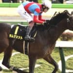 【フェブラリーS予想2026】ラムジェットが1週前追い切りで好気配