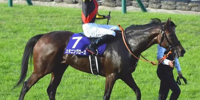 スタニングローズは有馬記念へ、香港ヴァーズは辞退