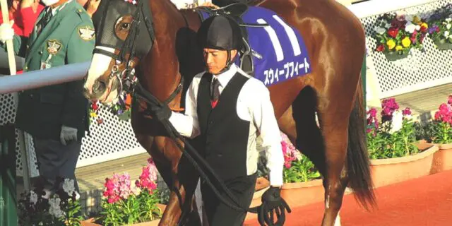 【オークス予想2024】スウィープフィート、最大の懸念は“使い詰め”？