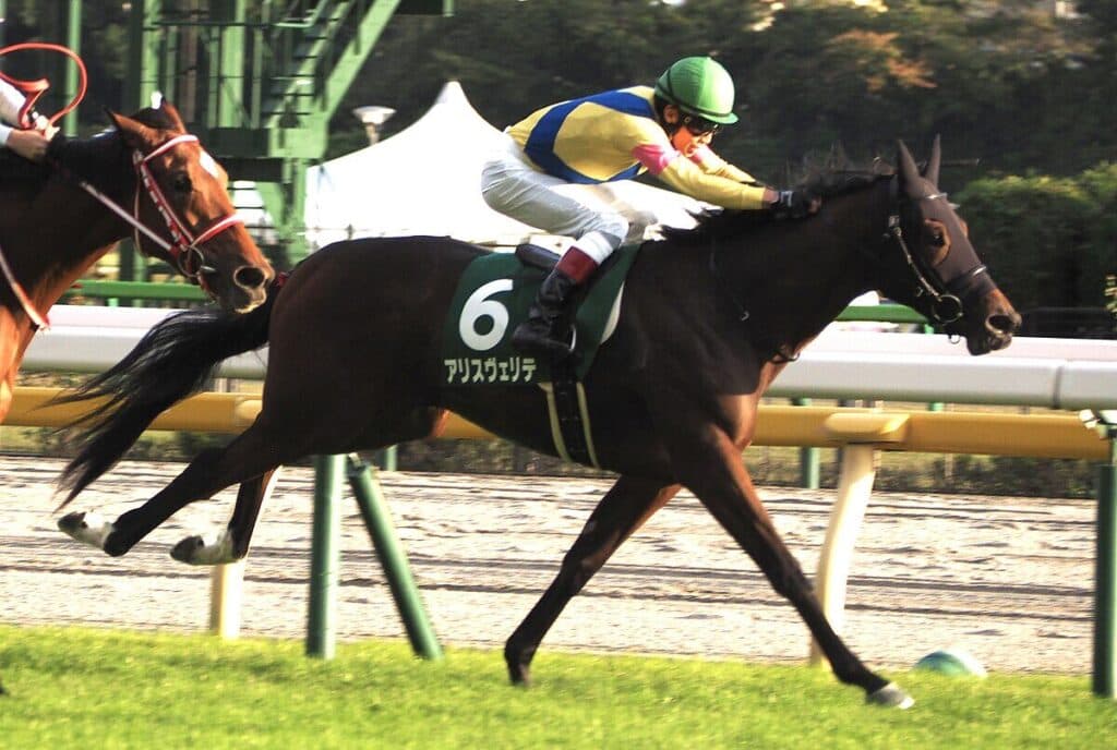 アリスヴェリテは一戦使ってからエリザベス女王杯へ、鞍上は未定