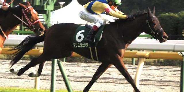 アリスヴェリテは一戦使ってからエリザベス女王杯へ、鞍上は未定