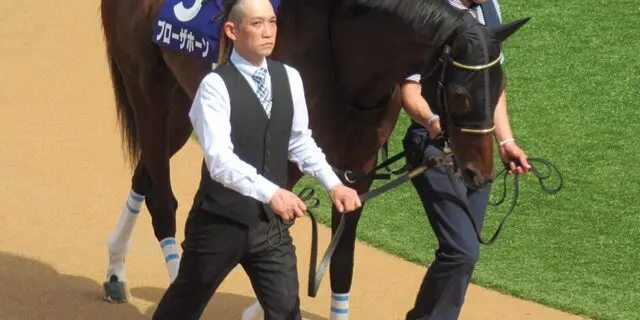 ブローザホーンは阪神大賞典から天皇賞・春へ