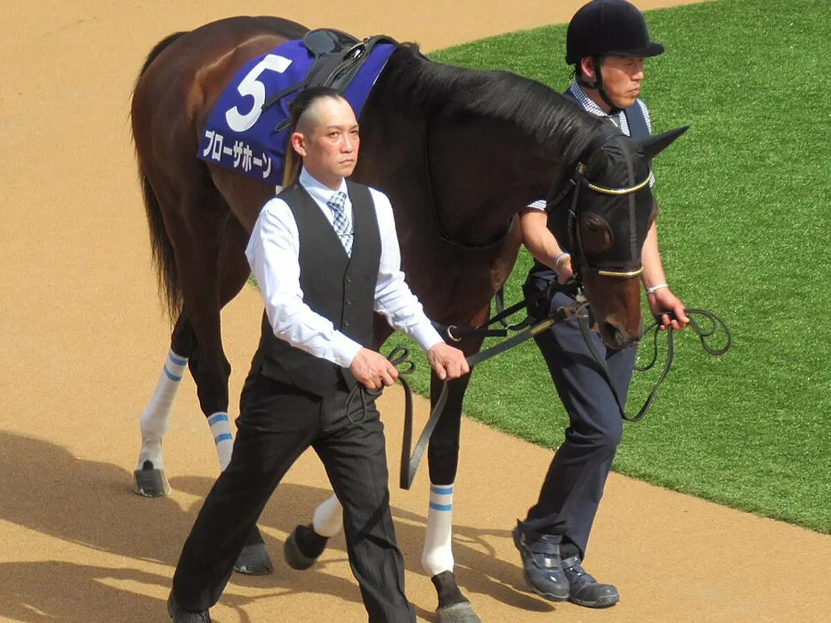 【JRA】ブローザホーンは有馬記念が最大目標