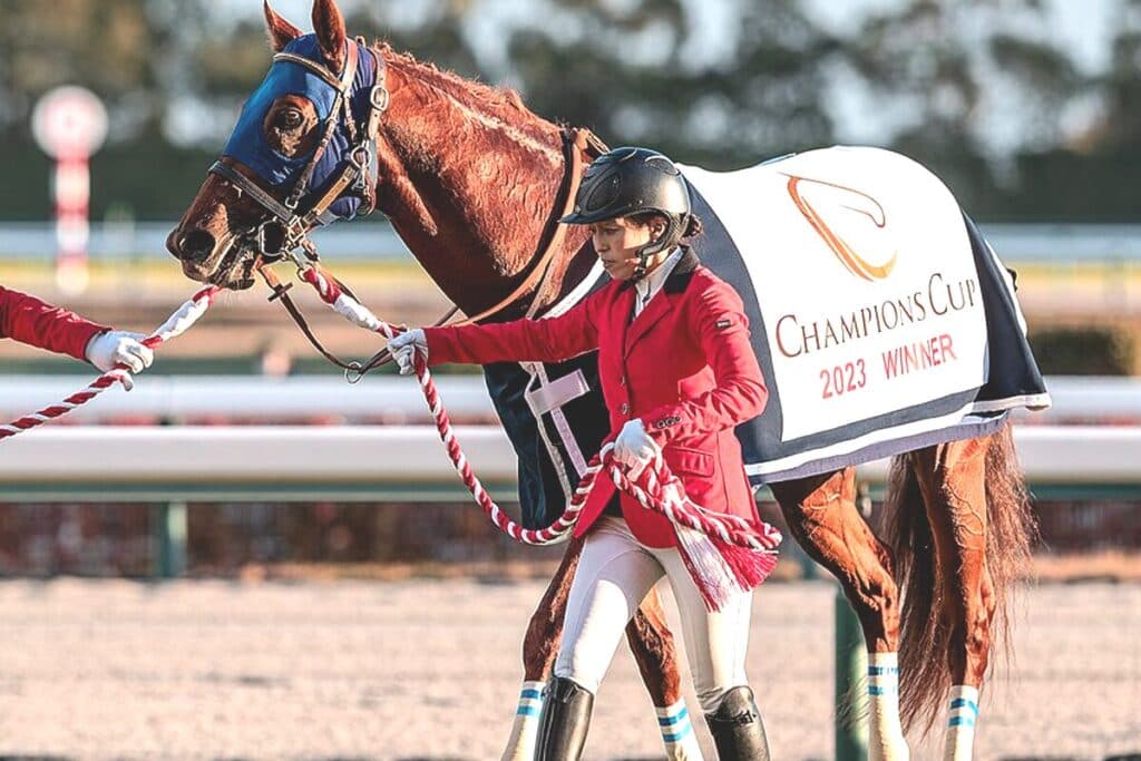 ダート界を牽引するレモンポップはチャンピオンズCを最後に引退・種牡馬入りが決定