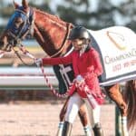 【JRA】レモンポップ産駒第1号が誕生！