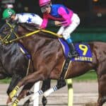 【JRA】メイショウハリオが現役引退、種牡馬入り