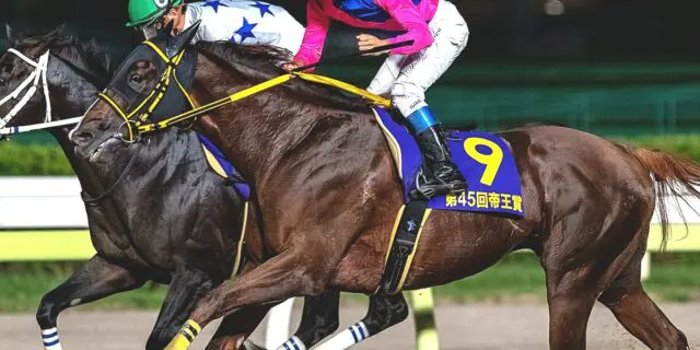 【JRA】メイショウハリオが現役引退、種牡馬入り